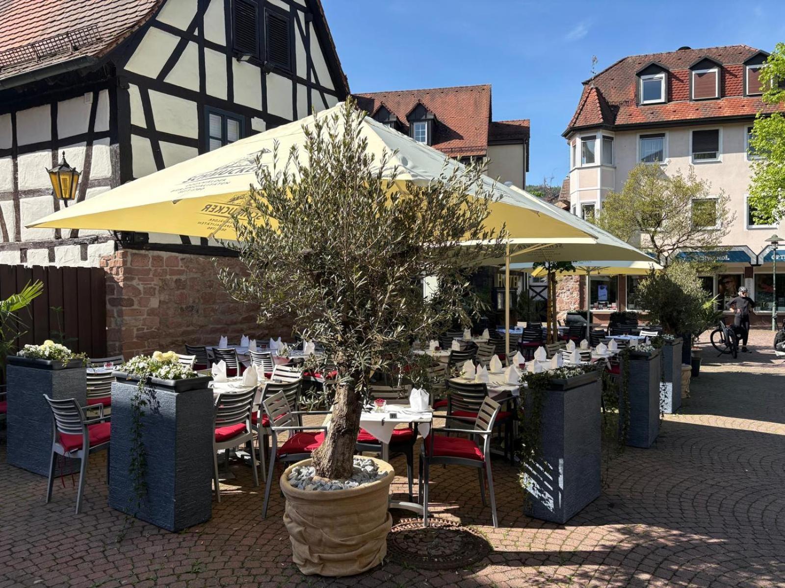Hotel Restaurant Altes Badhaus Eberbach  Esterno foto